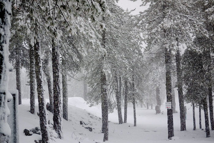 Troodos snow